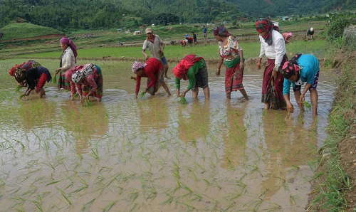 radiosankhuwasava